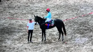 King Argentine, Kandidat Terkuat Peraih Gelar Piala Tiga Mahkota Tahun 2025