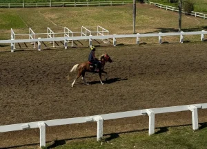 Gelar Kejuaraan Pacuan Kuda Merdeka Cup 2025, Legok Jawa Siap Bidik Event-Event Besar